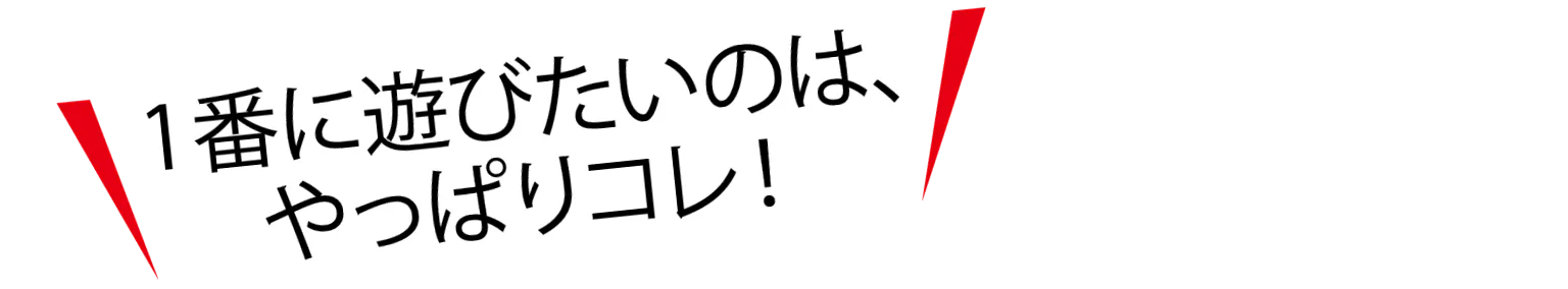 １番に遊びたいのは、やっぱりコレ！