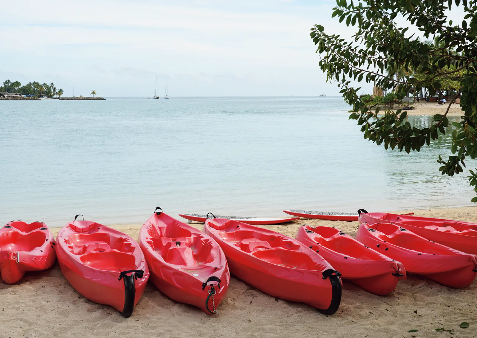 マリンスポーツに挑戦の画像