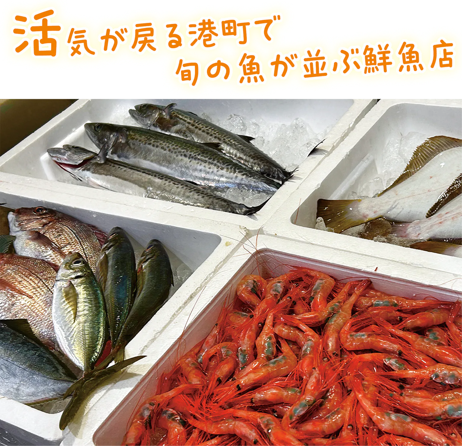 活気が戻る港町で旬の魚が並ぶ鮮魚店