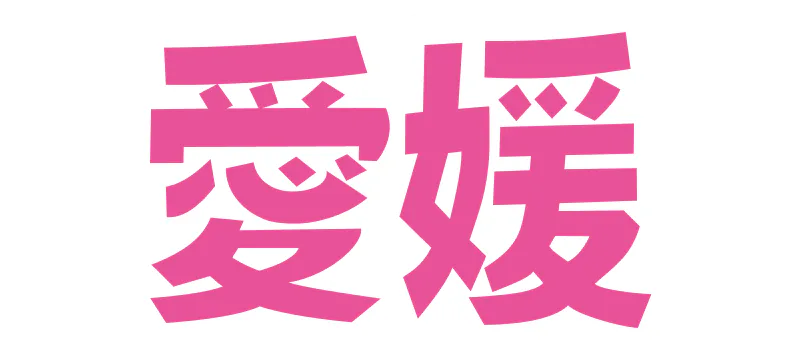 愛媛の記事一覧