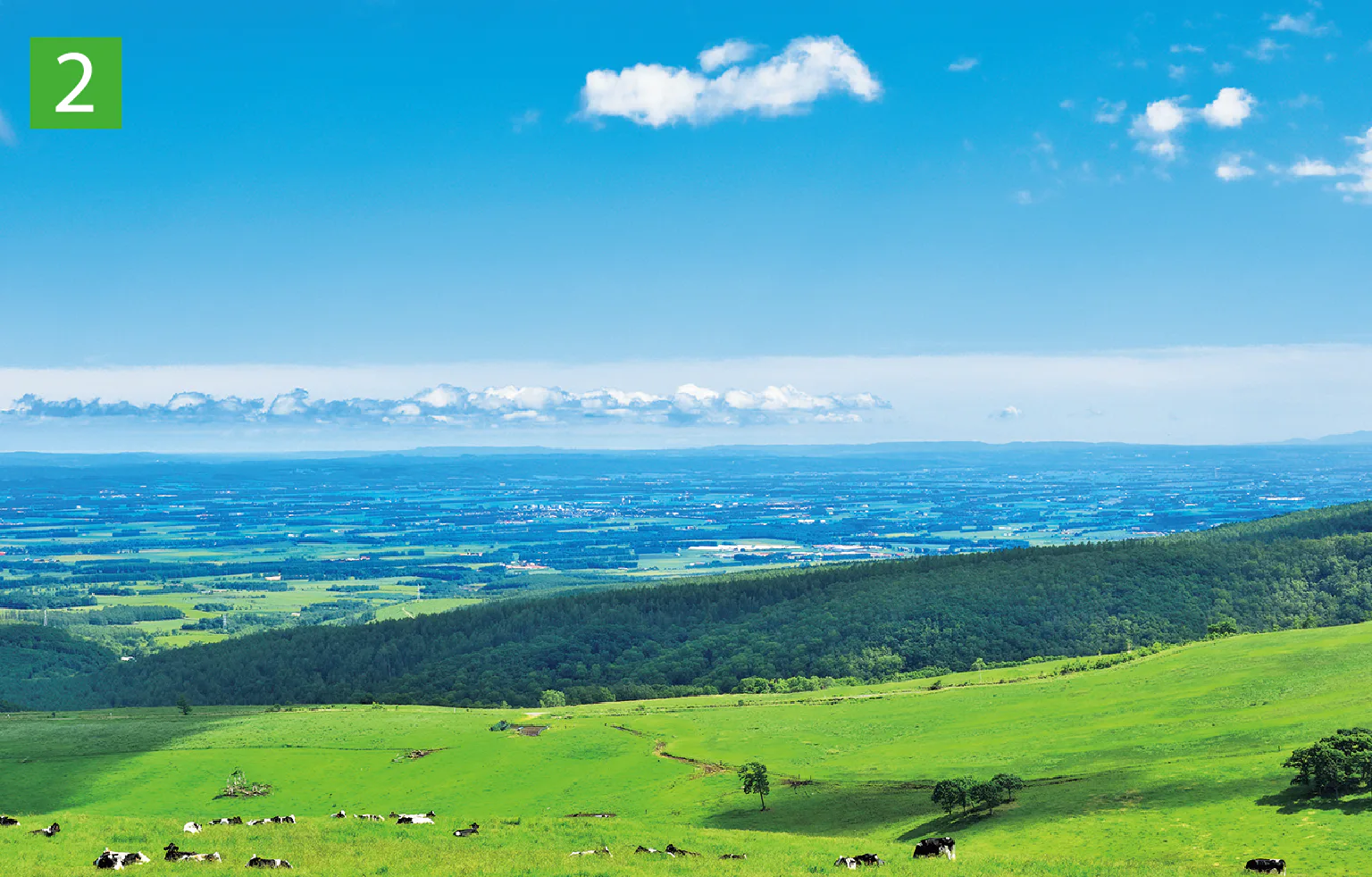 ナイタイ高原牧場の画像