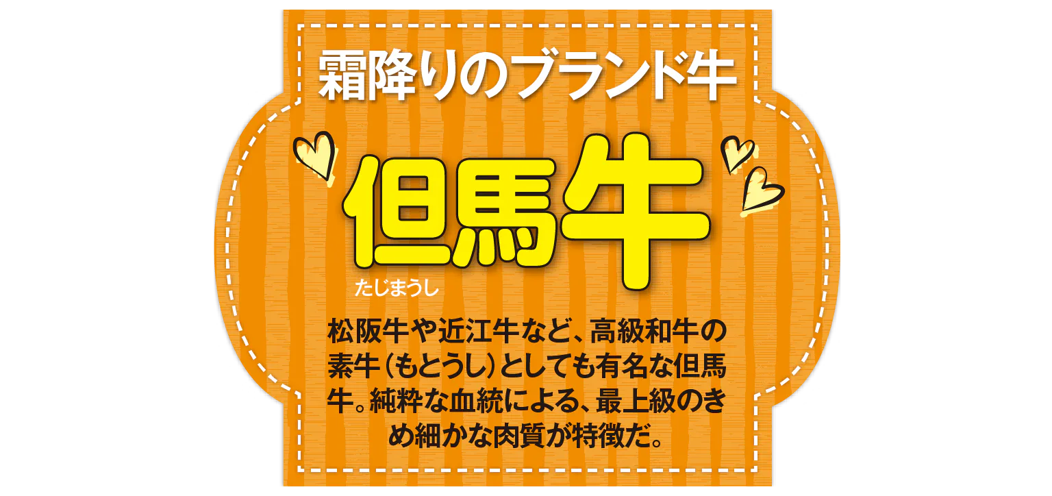 霜降りのブランド牛 但馬牛