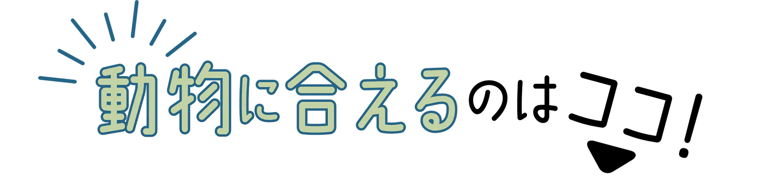 動物に合えるのはココ！の見出し