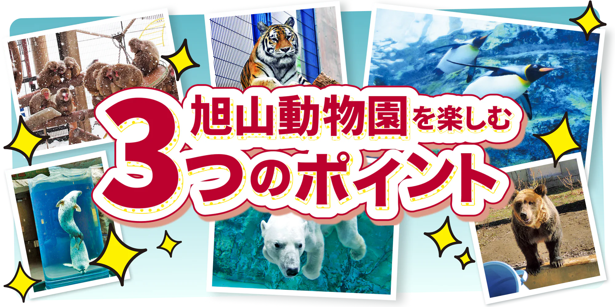 【北海道】旭山動物園を楽しむ3つのポイント│展示の工夫や北国ならではの光景をチェック！主なイベント情報も