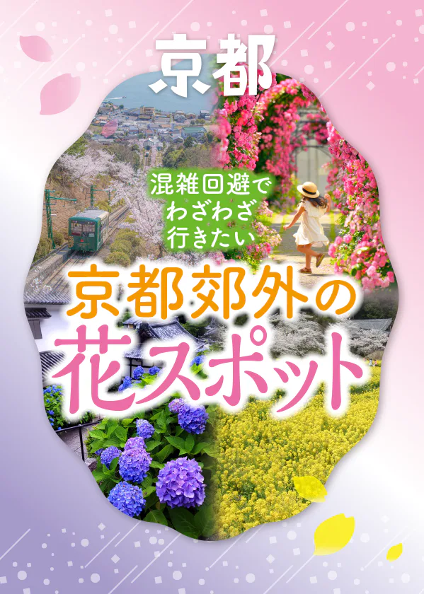京都郊外の花スポット  │  混雑回避でわざわざ行きたい花の名所。三室戸寺や柳谷観音楊谷寺のあじさい、大原野神社の千眼桜など