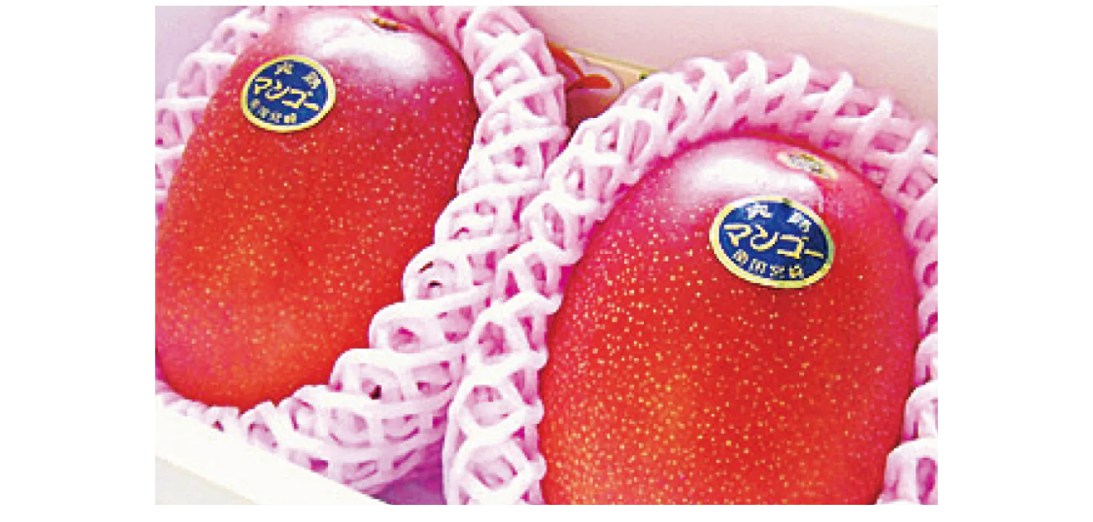 マンゴーの紹介画像