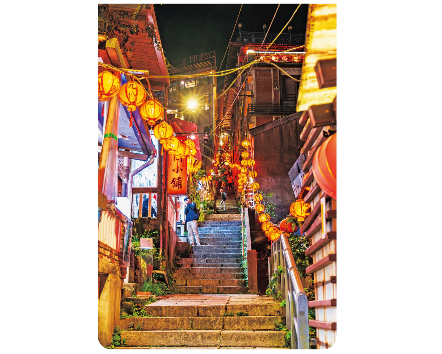 豎崎路の紹介画像