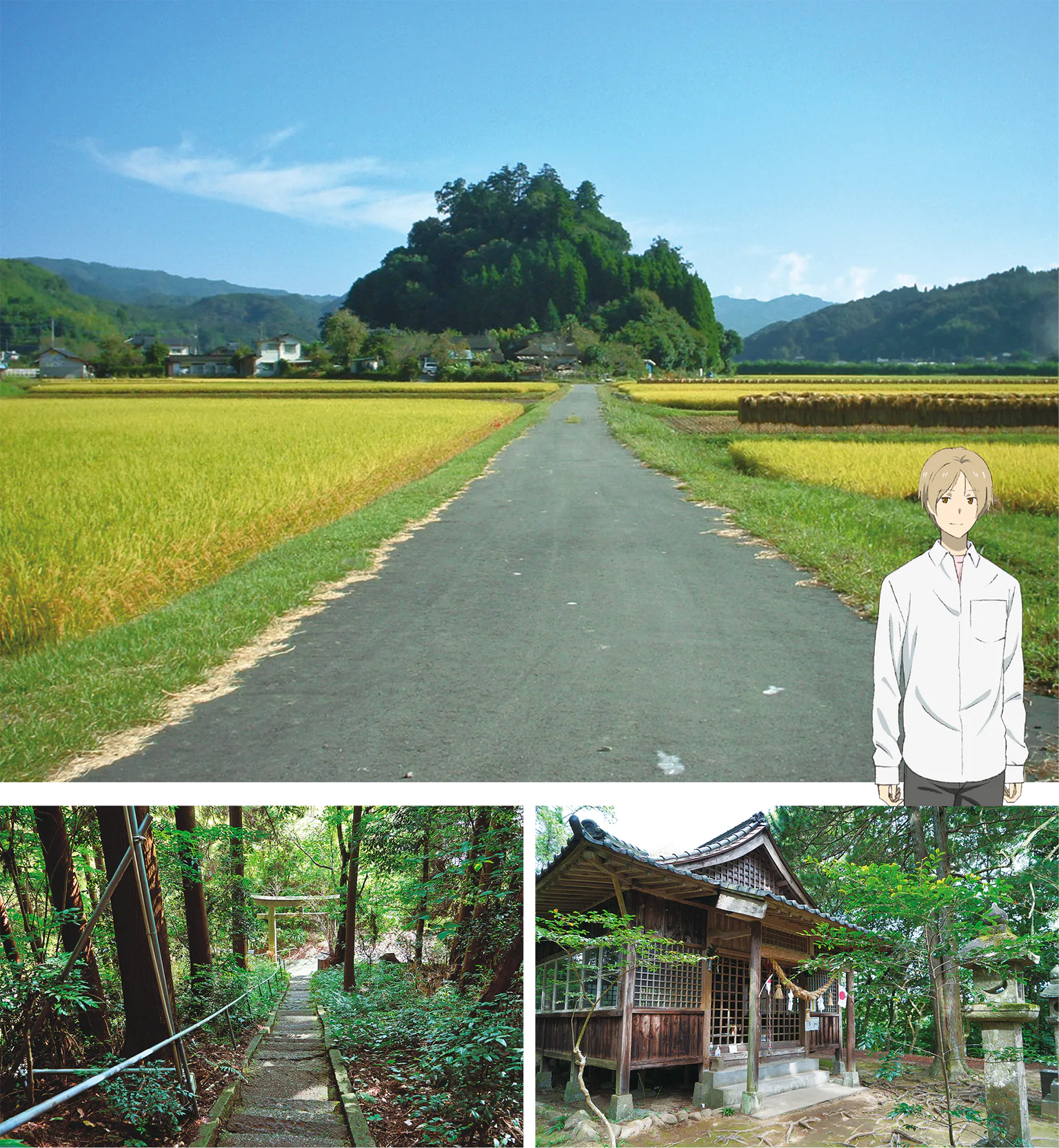 田園風景の中にこんもりと見える雨宮の森（上）石段を上ったところにある雨宮神社（下）の画像