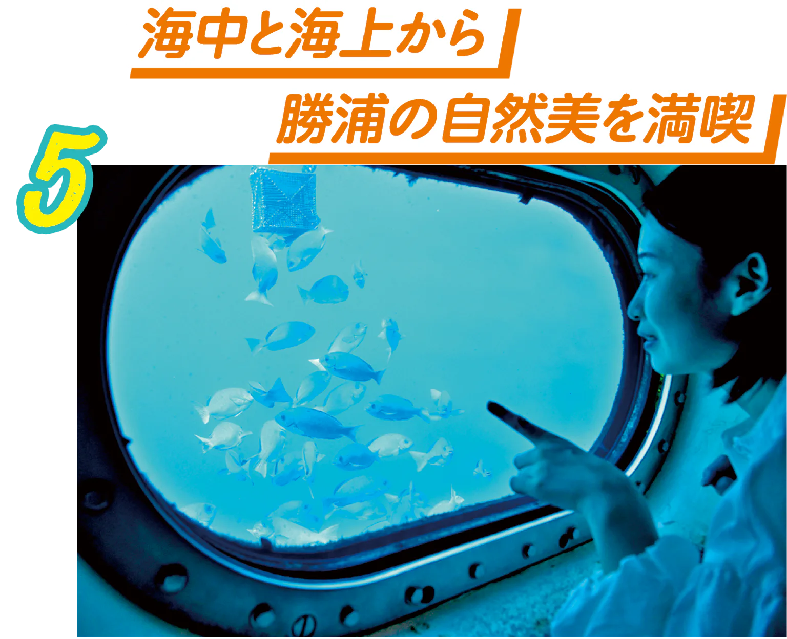 かつうら海中公園 海中展望塔の海中窓の画像
