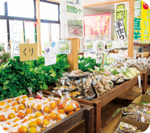 みのりの番屋には朝どれ野菜が山積みの店内画像