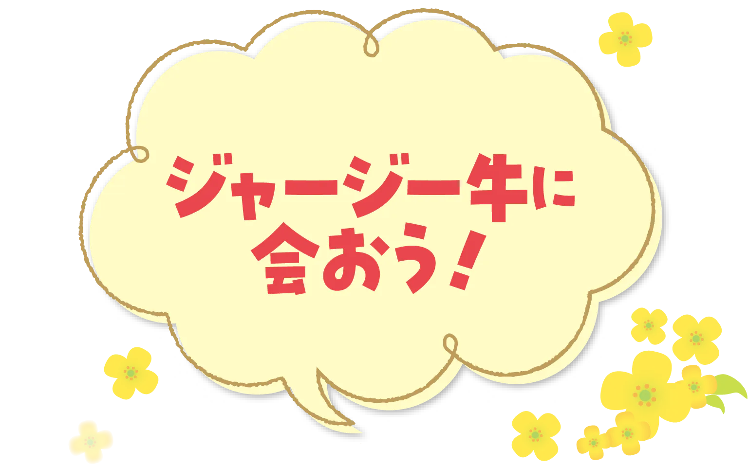 ジャージー牛に会おう！