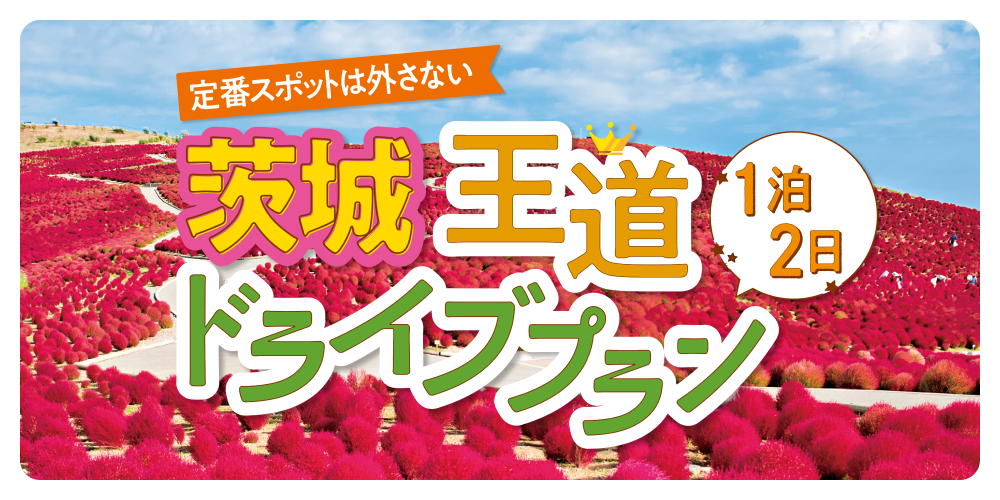 茨城・1泊2日王道ドライブコース】有名な花畑も、新鮮な魚介もたっぷり