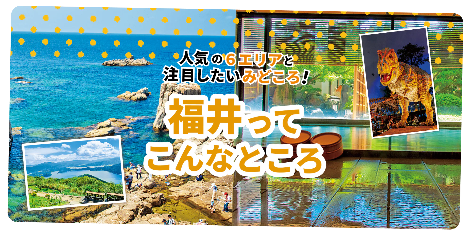 人気の6エリアと注目したいみどころ！　福井ってこんなところ