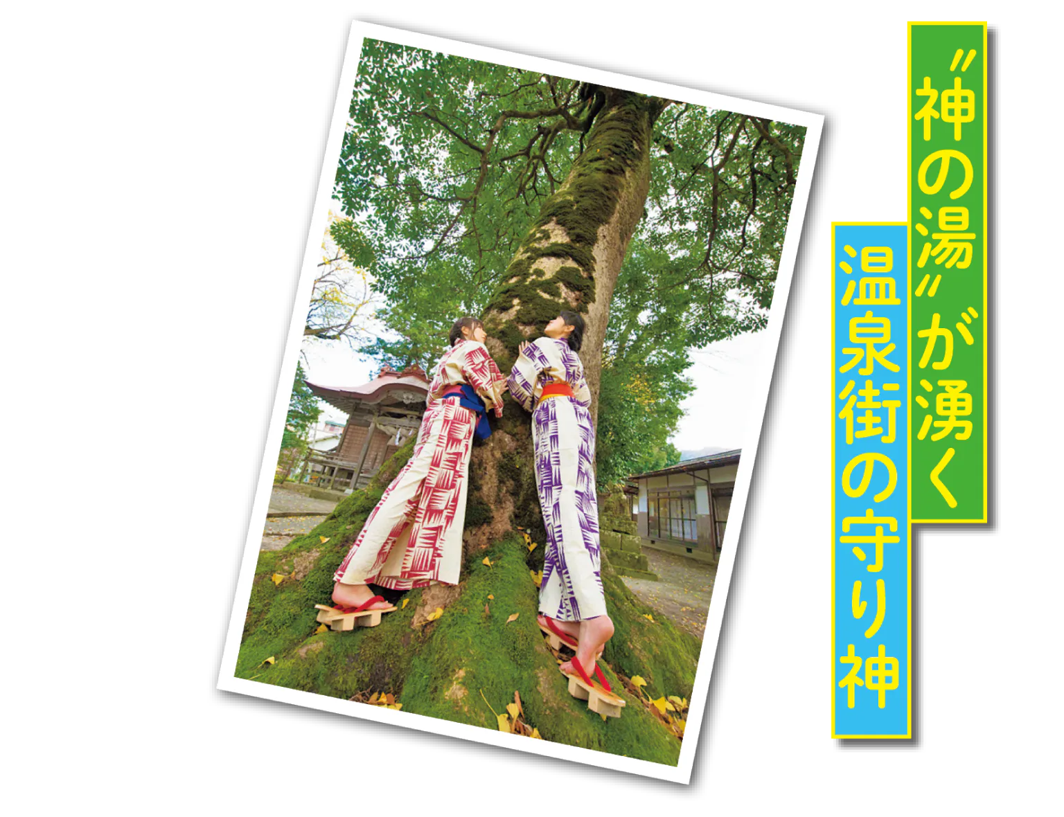 ご神木の画像