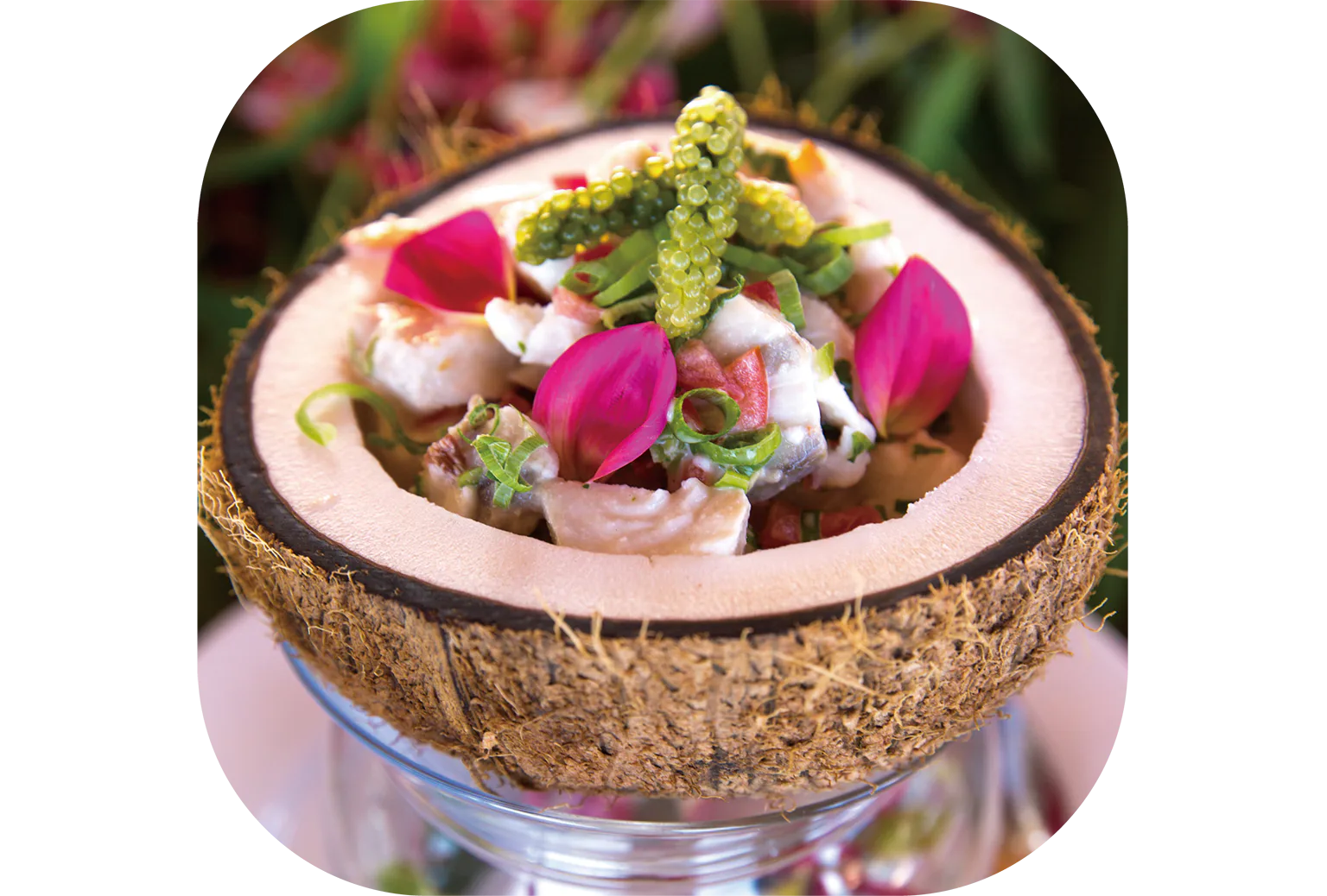 フィジー風セビーチェの画像