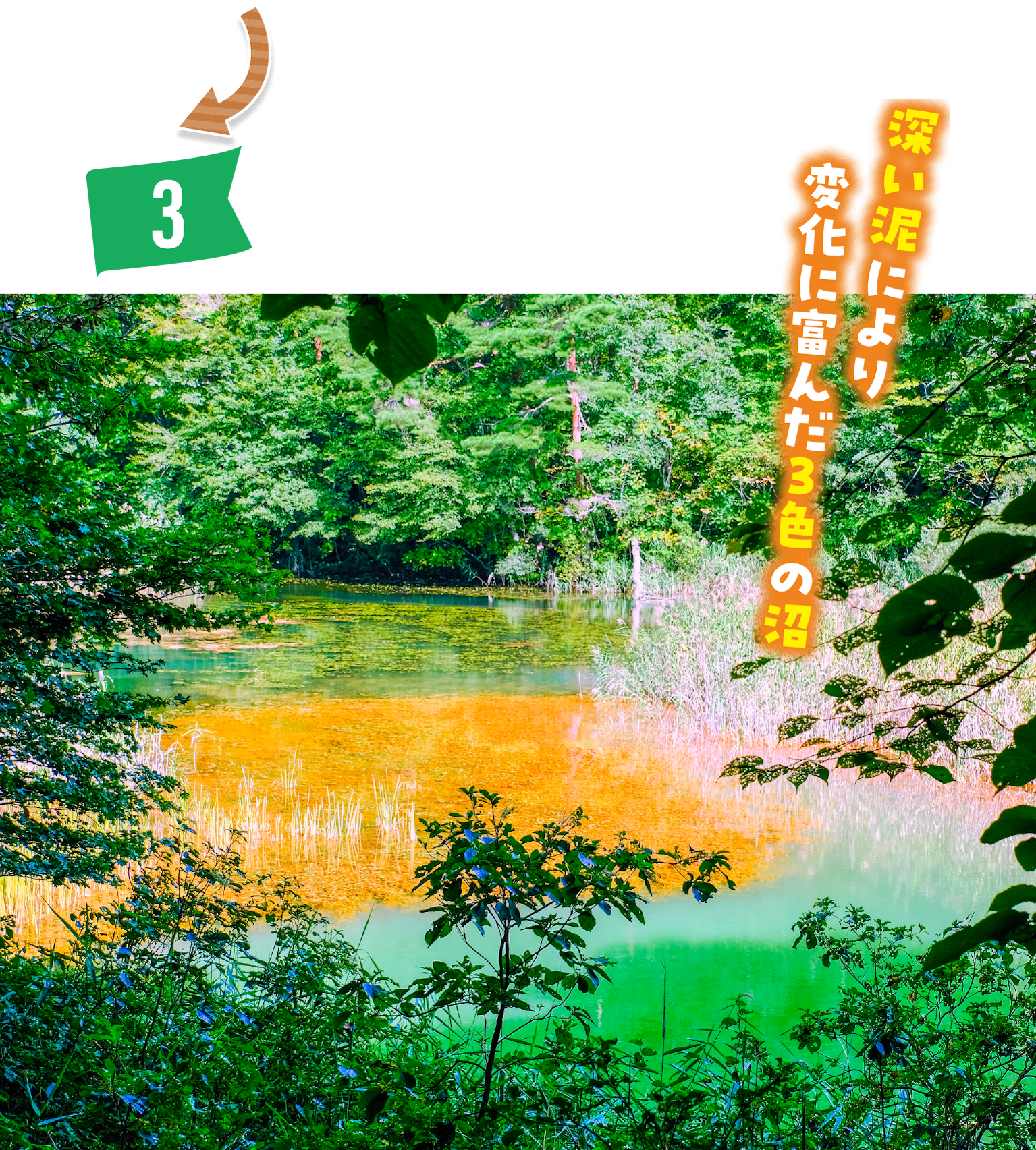 (画像)みどろ沼