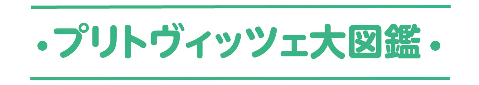 プリトヴィッツェ大図鑑の見出し