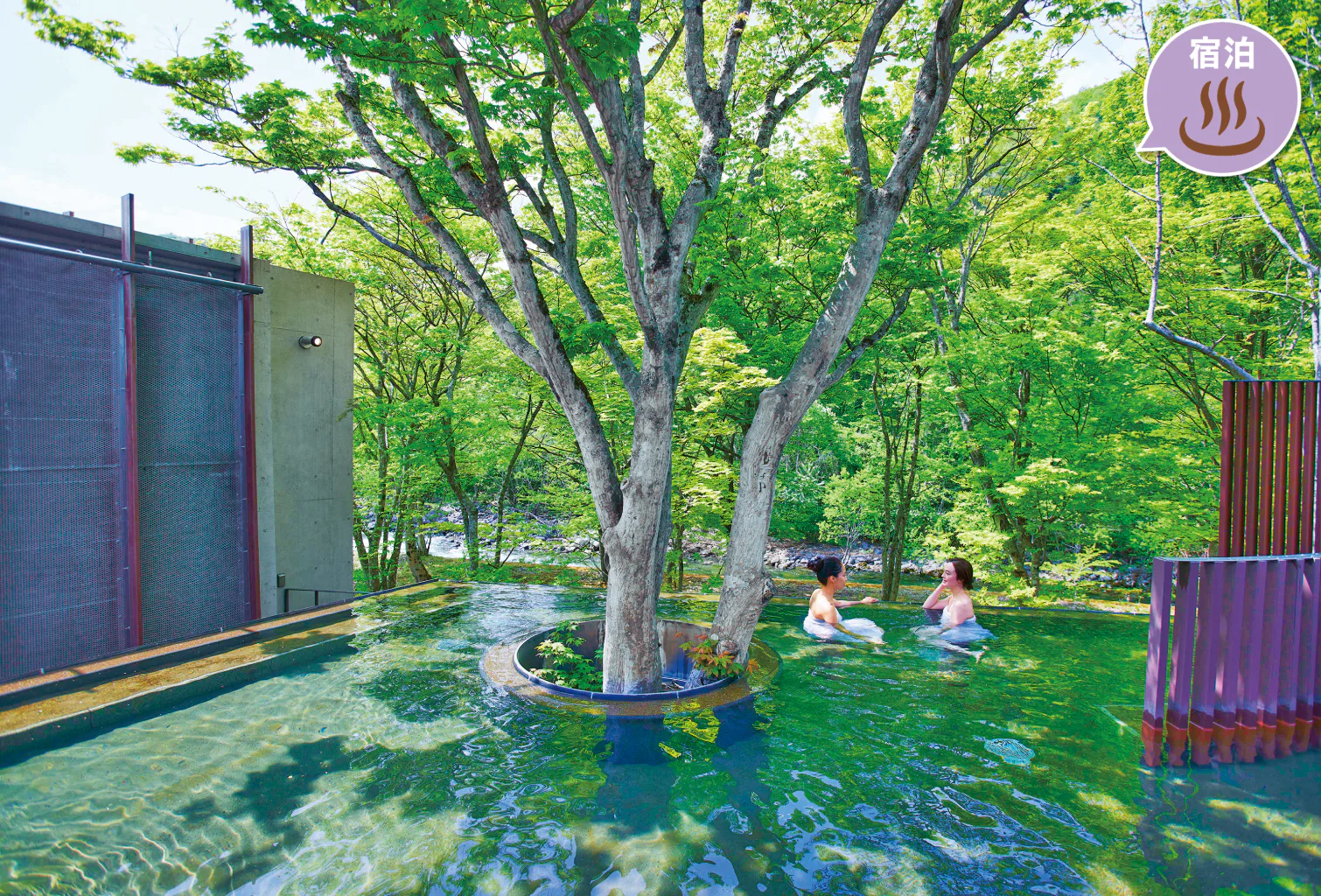 奥入瀬周辺の温泉の画像