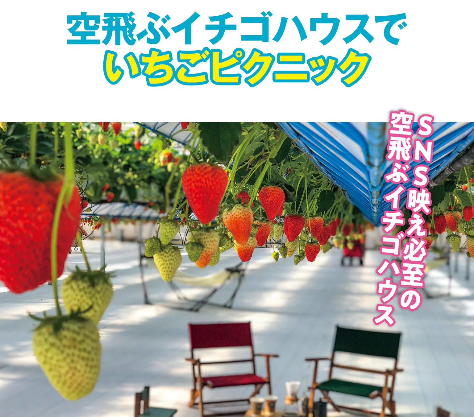 (画像)GREENARIUM awajishima