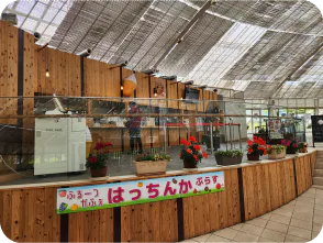 フルーツカフェ 八珍果＋の店内画像