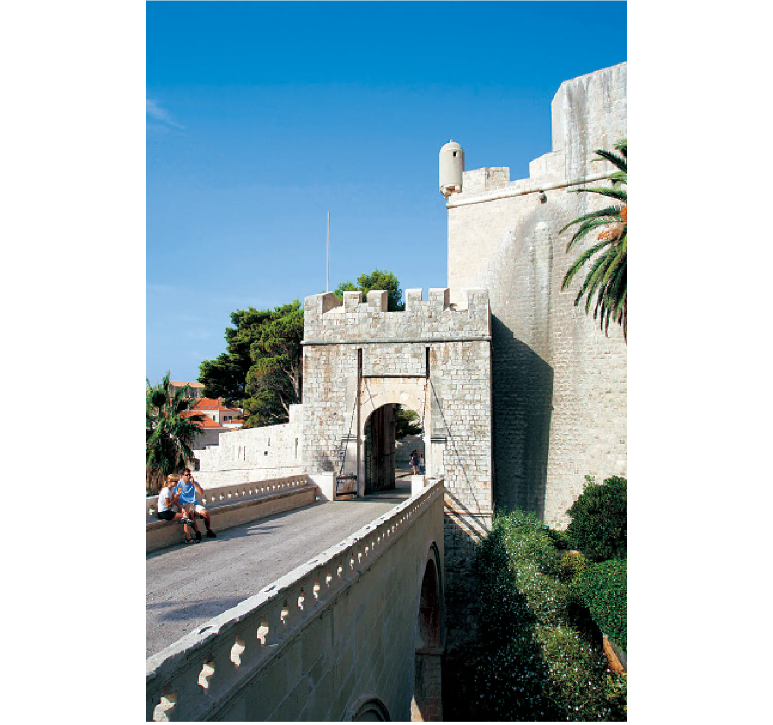 プロチェ門の紹介画像