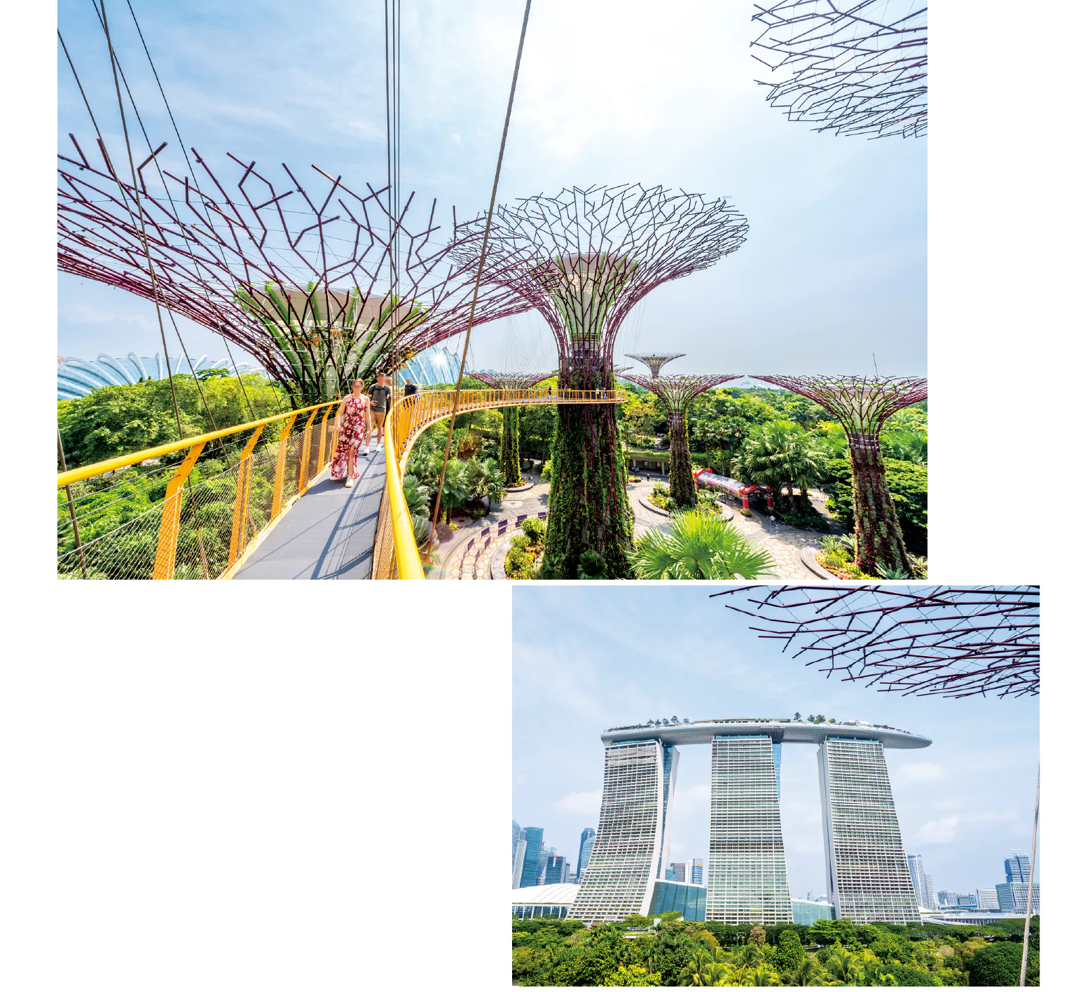 OCBC スカイウェイの画像