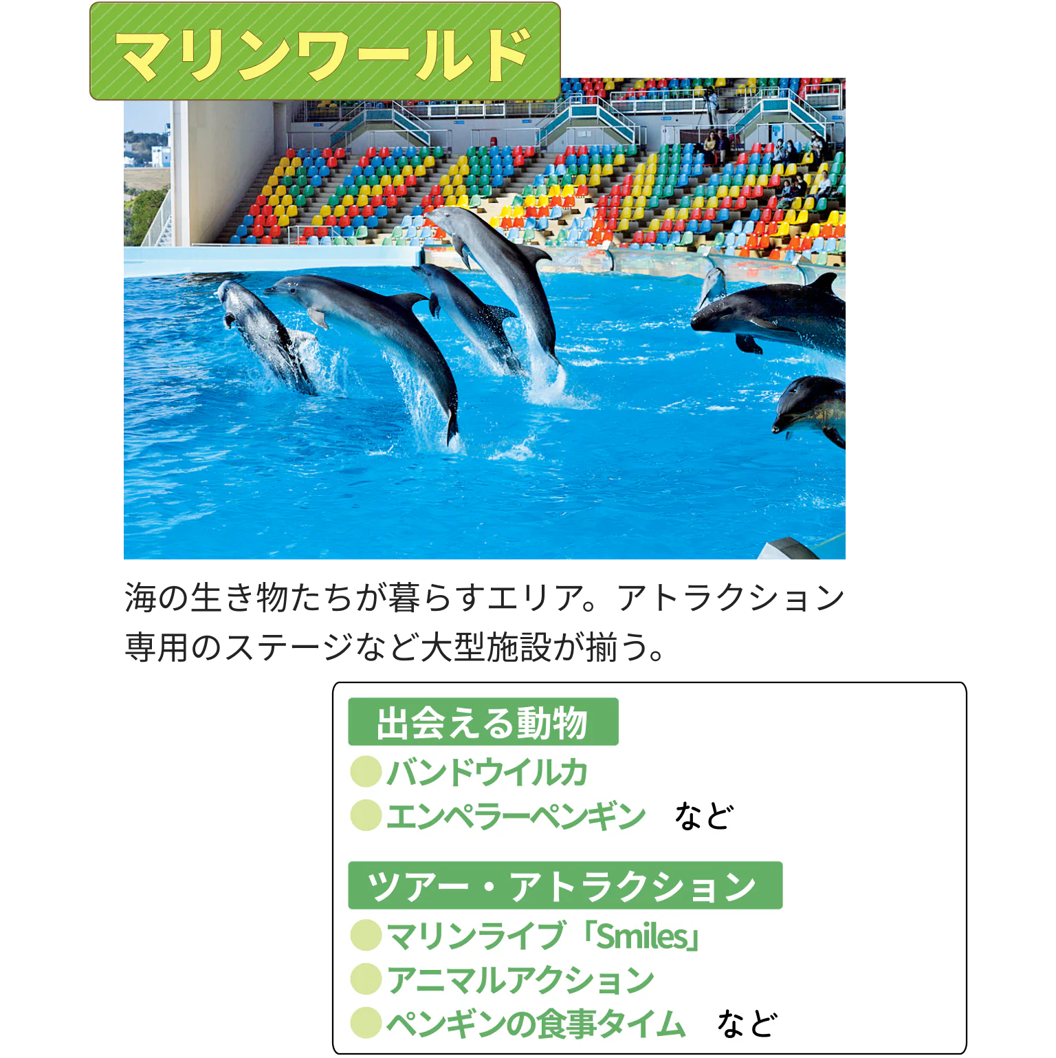 マリンワールド　海の生き物たちが暮らすエリア