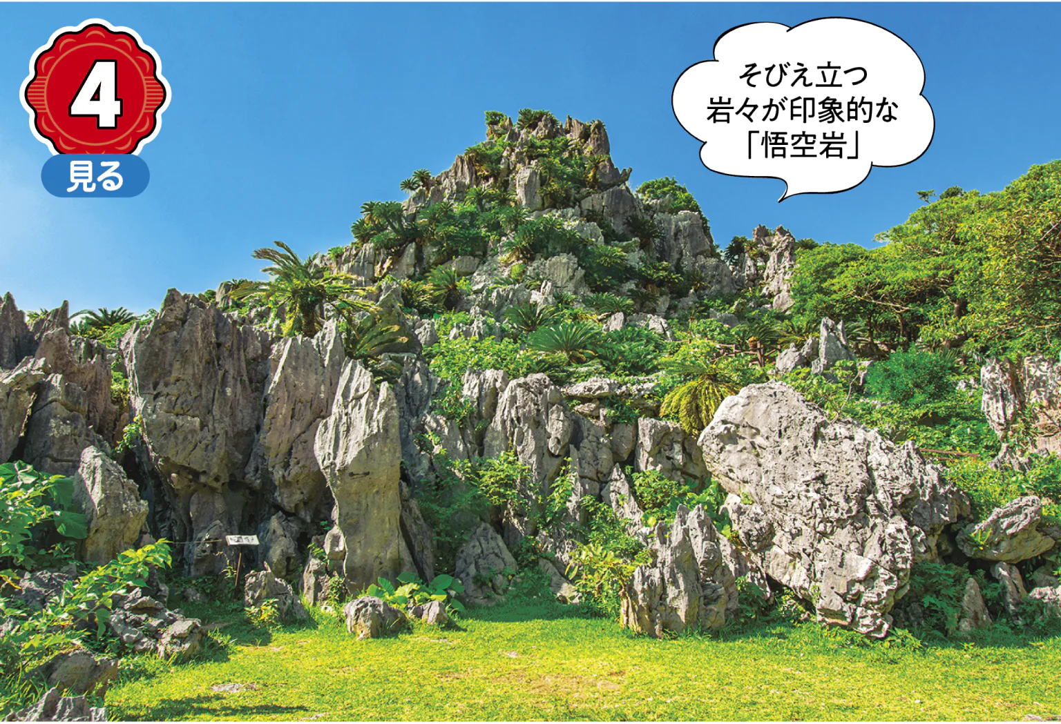 大石林山の悟空岩の画像