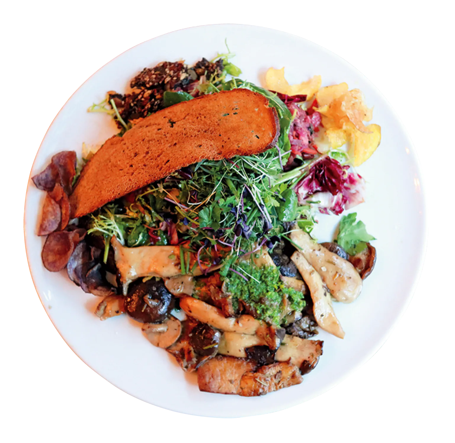 キノコのグリル&サラダの画像