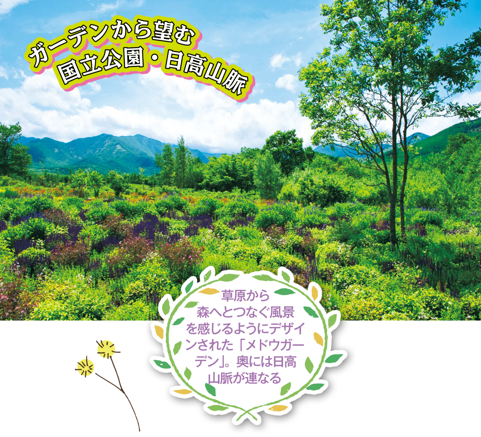 十勝千年の森の「メドウガーデン」の画像