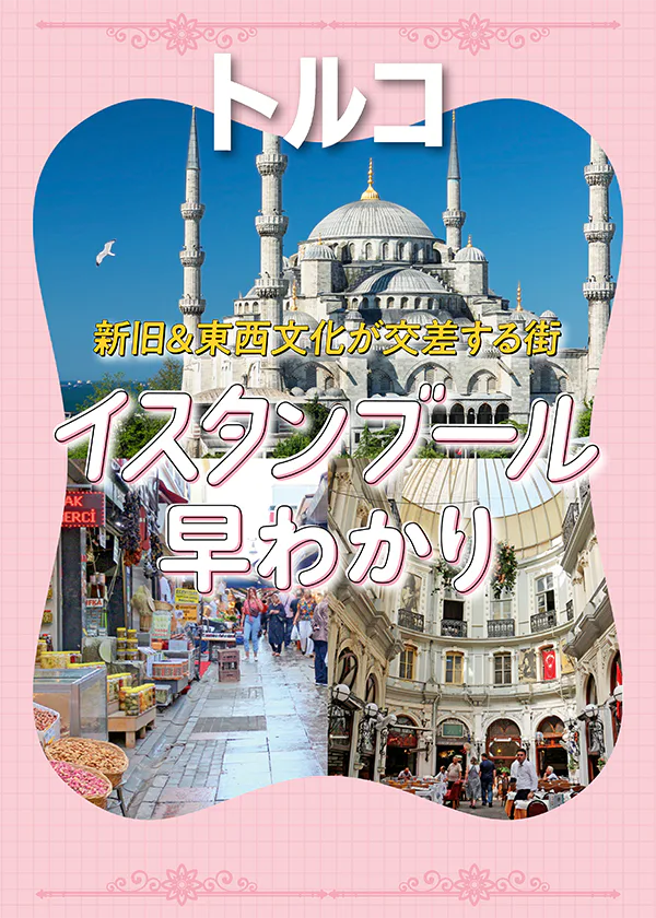 【トルコ】イスタンブール早わかり｜ヨーロッパ・サイドとアジア・サイドを地図付きで解説｜１日モデルプランも