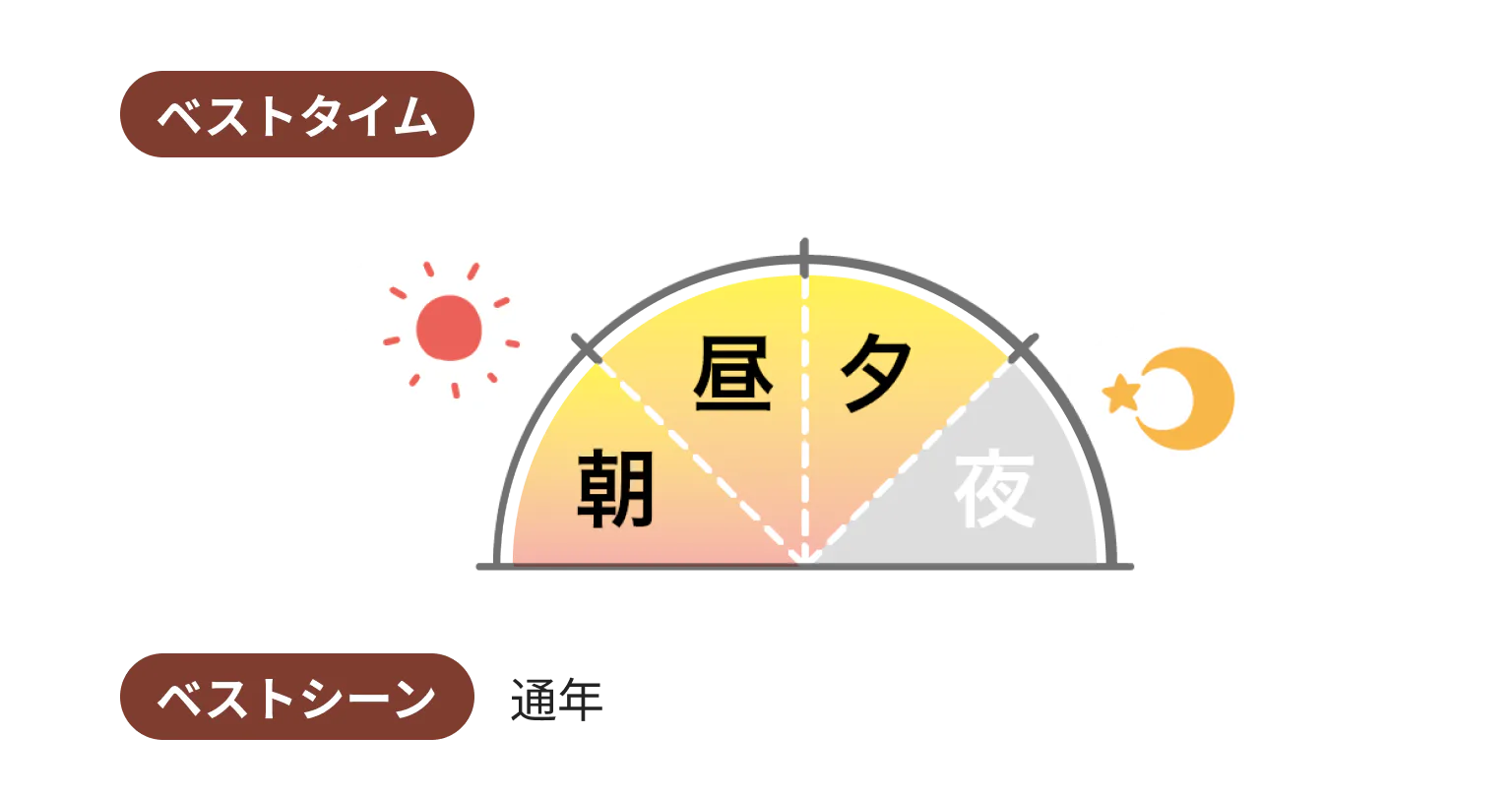 ベストタイムとベストシーン