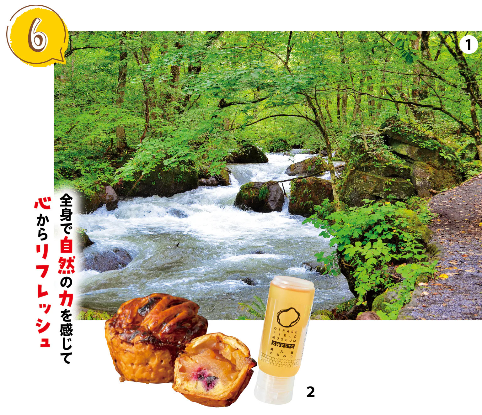 ①清流と自然の美しさにただ静かに深呼吸を繰り返したくなる場所／②奥入瀬渓流館で、ぎっしり詰まったアップルパイやハチミツが買える
