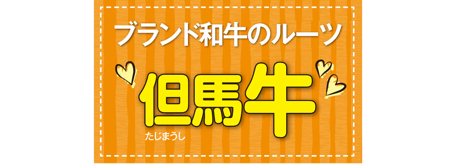 ブランド和牛のルーツ 但馬牛