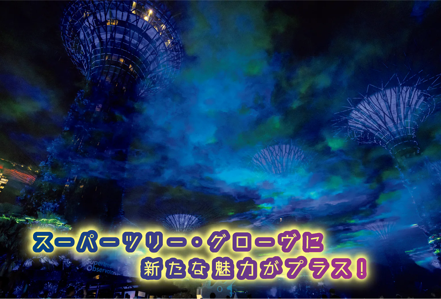 ボレアリスの画像