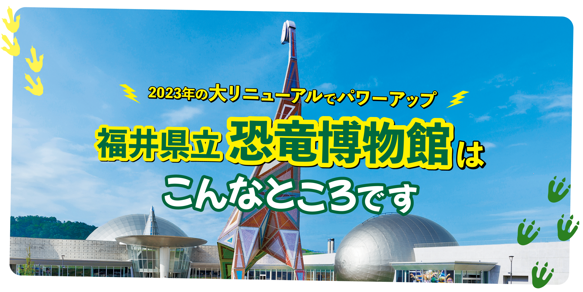 2023年の大リニューアルでパワーアップ　福井県立恐竜博物館はこんなところです