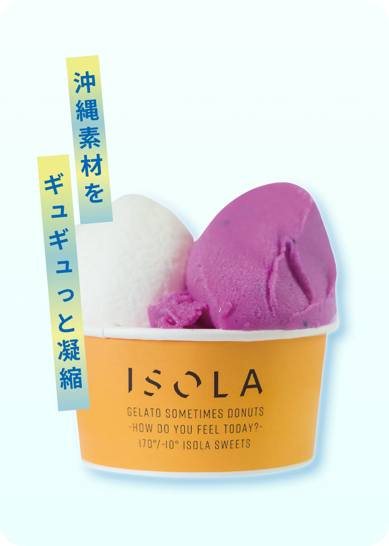 ISOLA GERATO&DONUTのジェラートダブル 　650円の画像