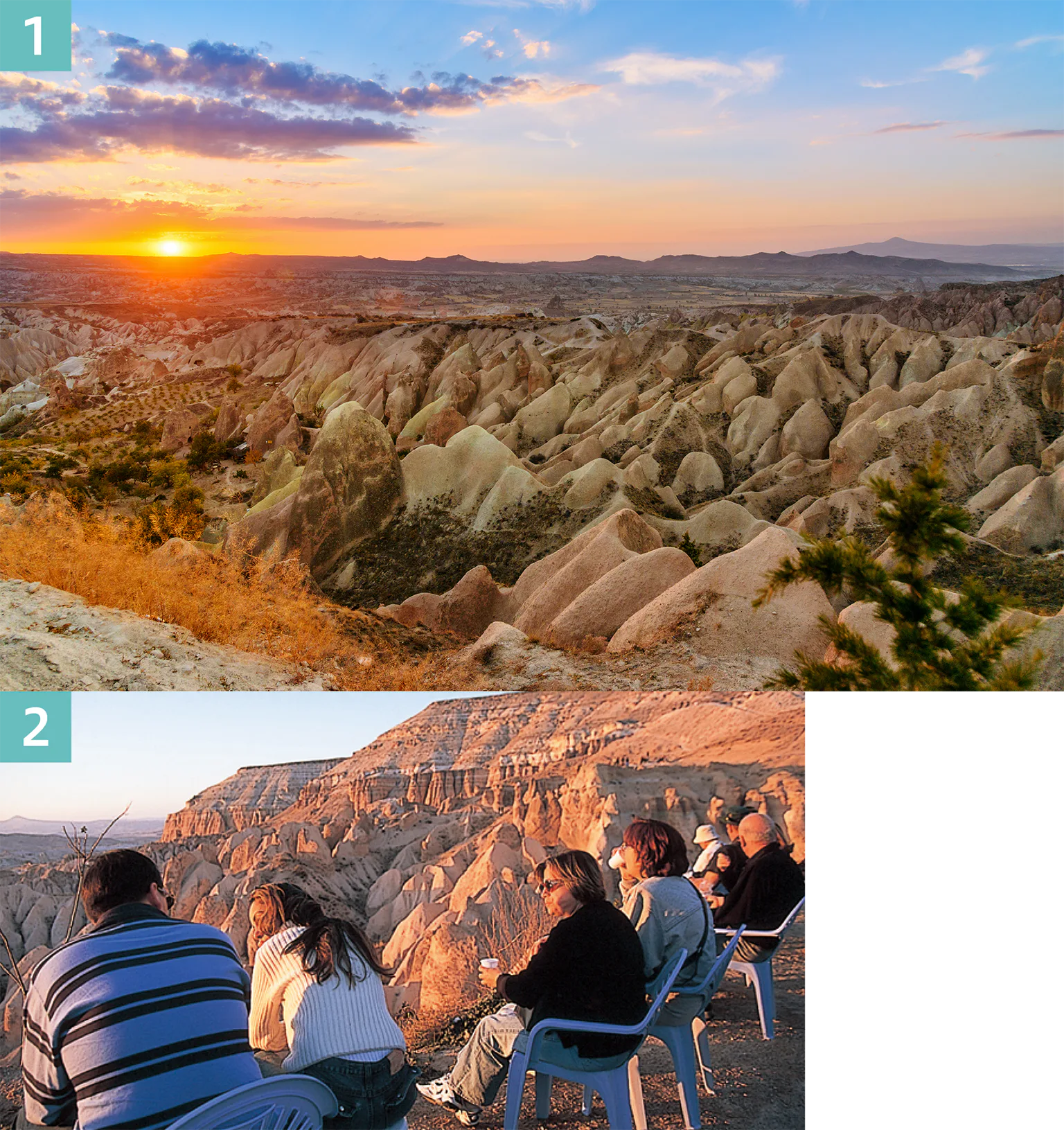 ローズ・ヴァレーの画像