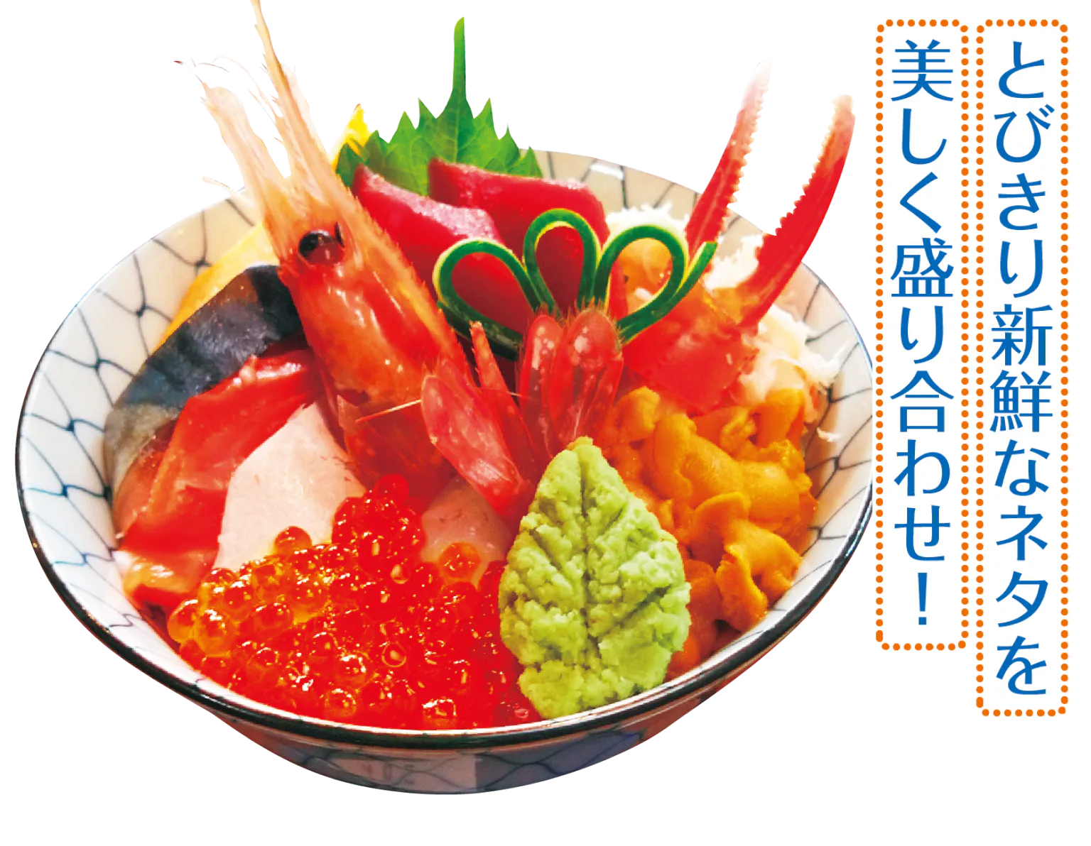 プレミアム大漁10種盛りの写真