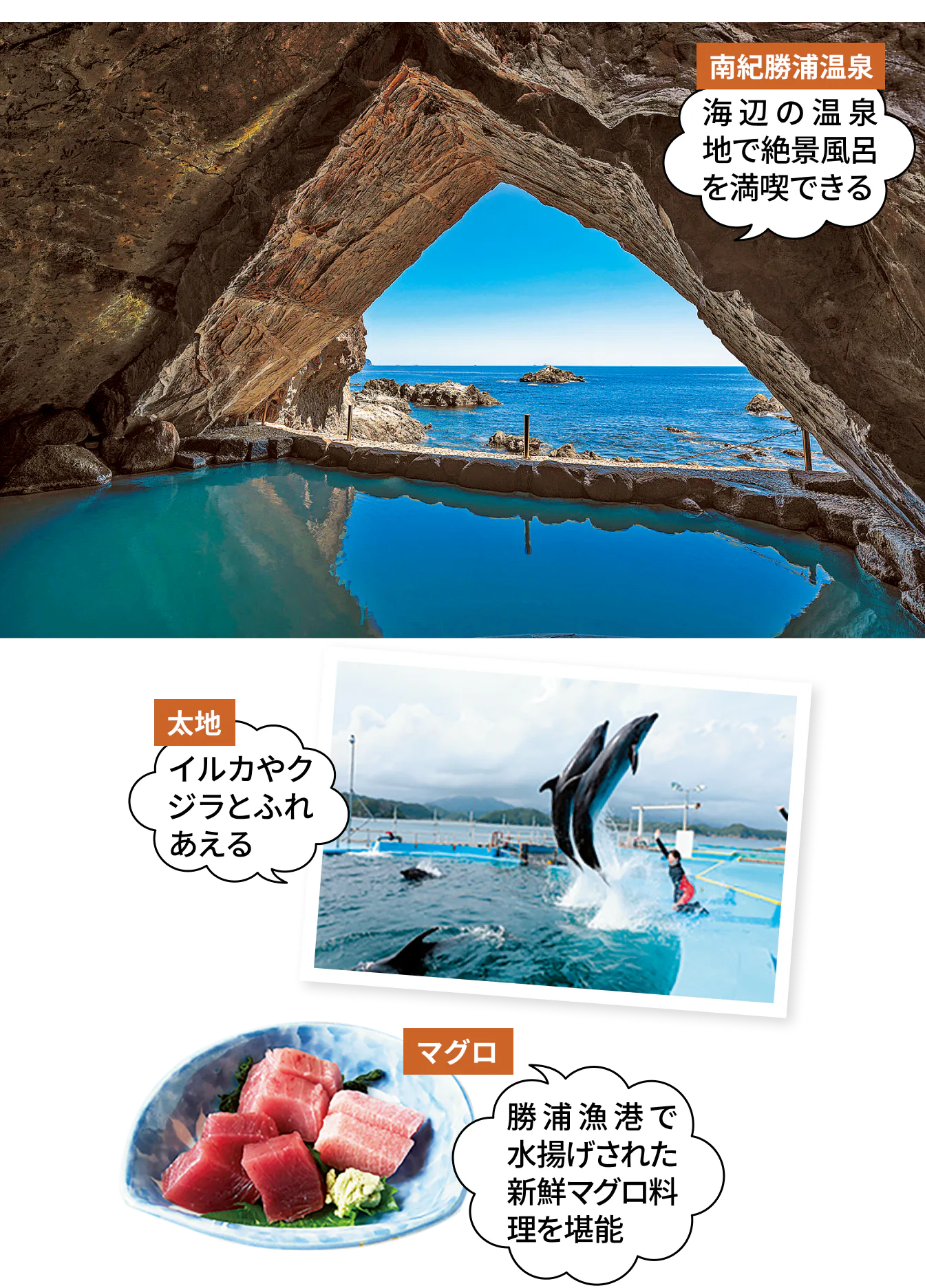 南紀州勝浦温泉、太地、マグロの画像