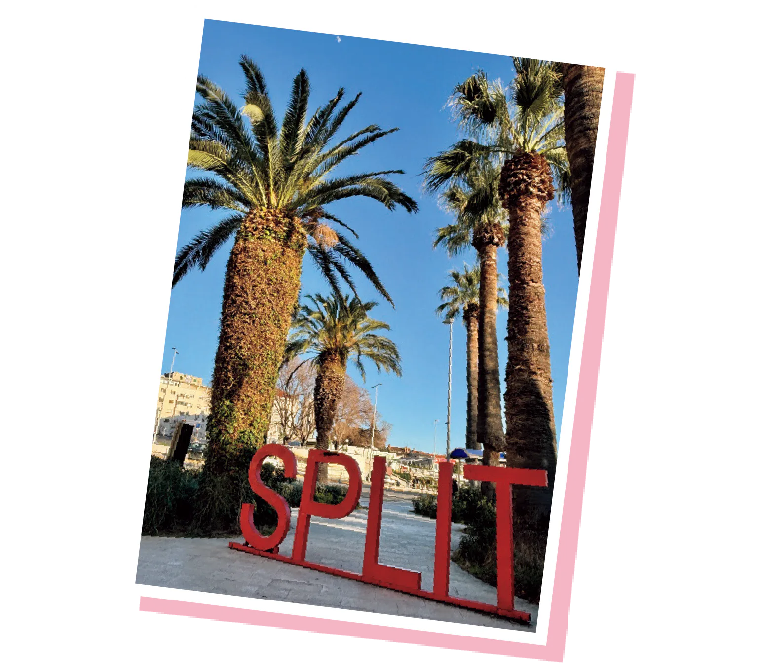 撮影スポットの画像