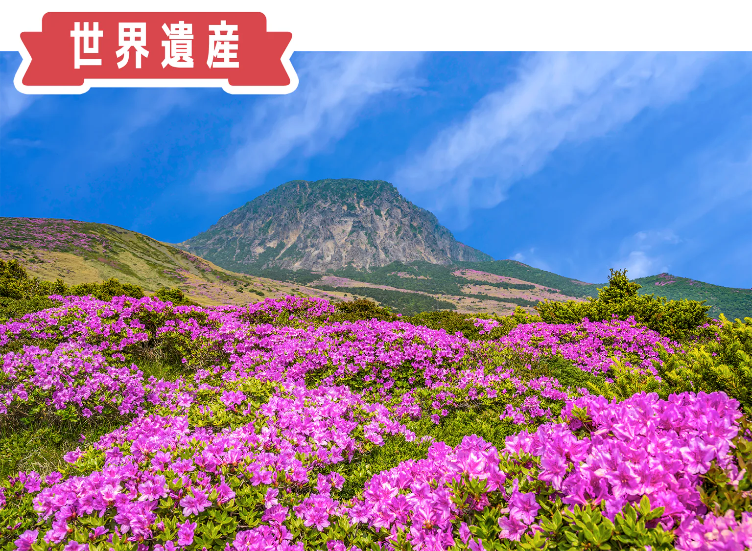 世界遺産・漢拏山の画像