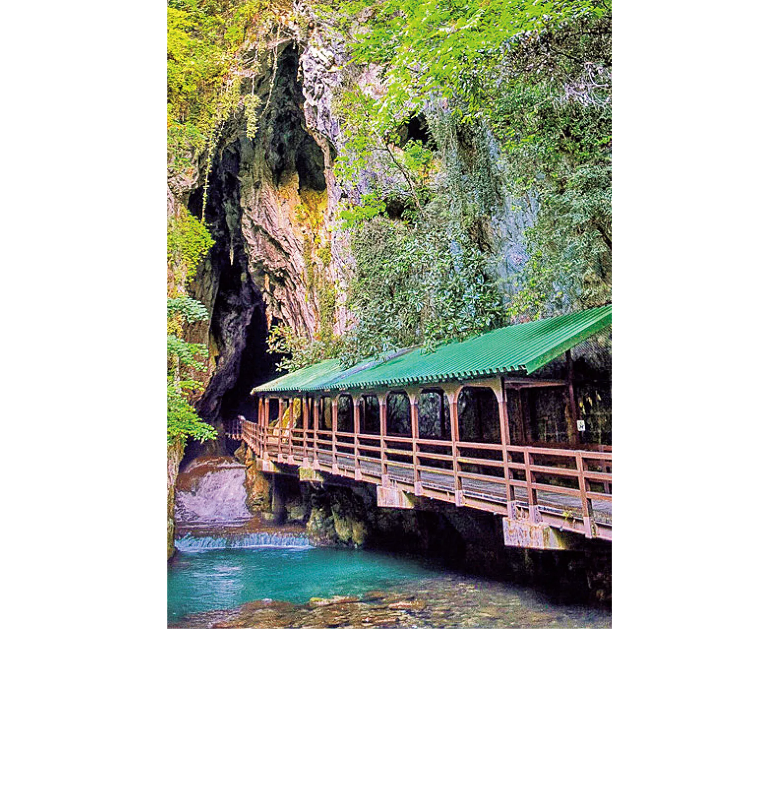 山口県】日本屈指の大鍾乳洞「秋芳洞ミステリーウォーク」必見 山口県】日本屈指の大鍾乳洞「秋芳洞ミステリーウォーク」必見