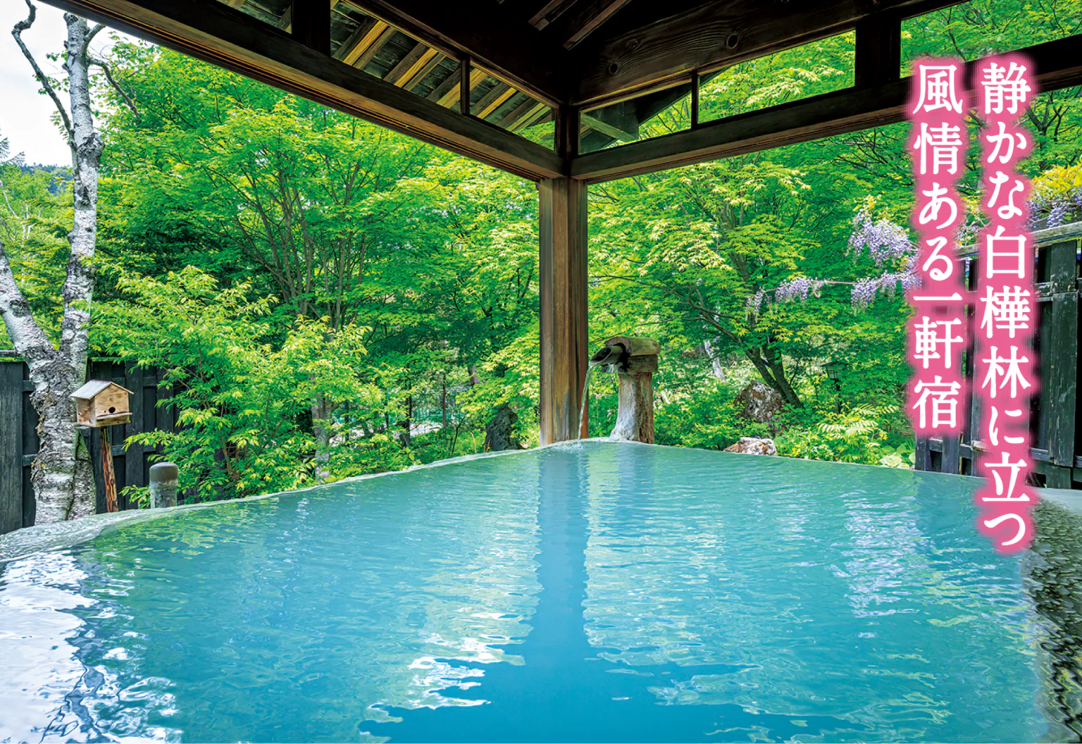 小梨の湯 笹屋の姫の湯(女性用内湯)の画像