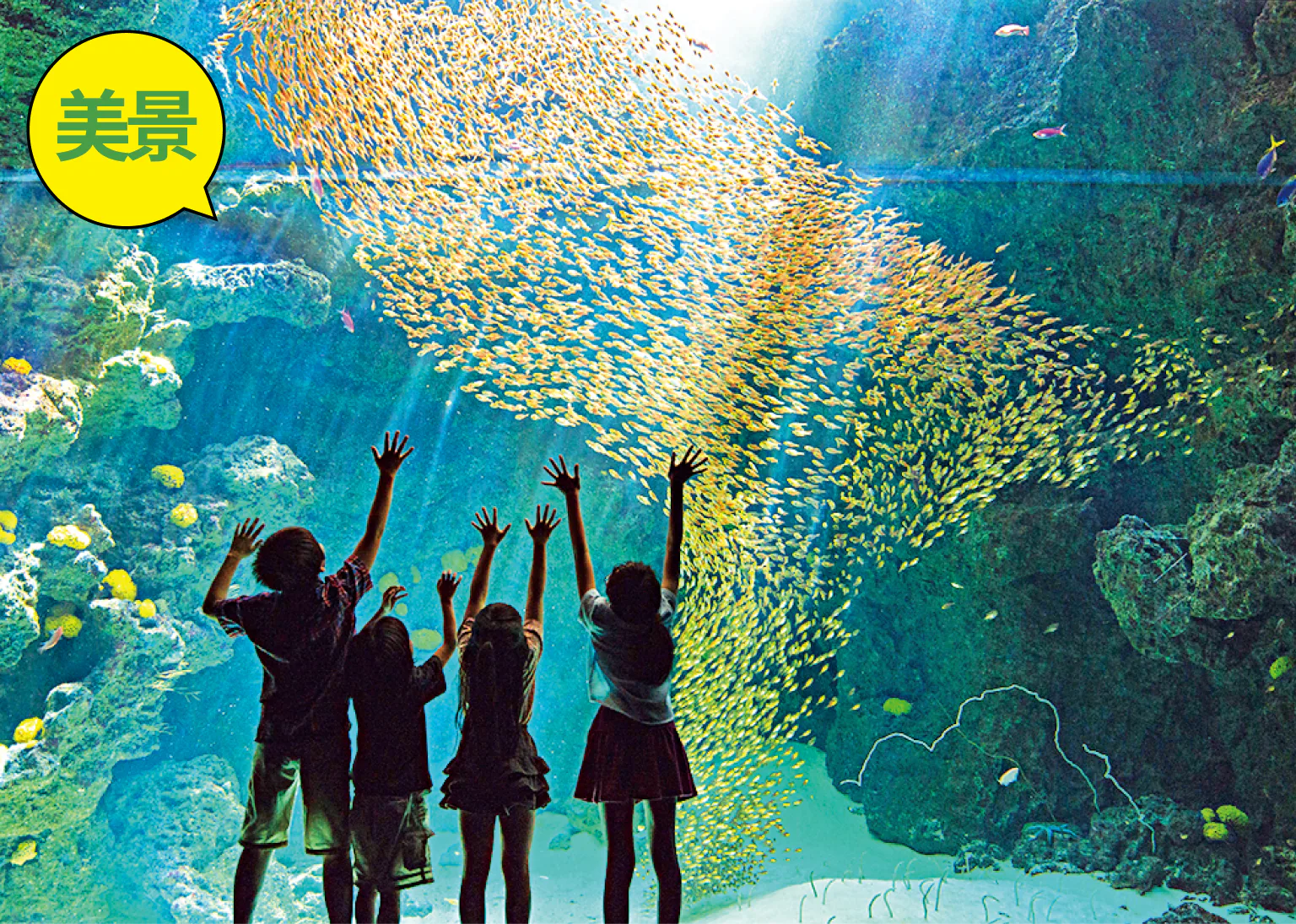 環境水族館アクアマリンふくしまの画像