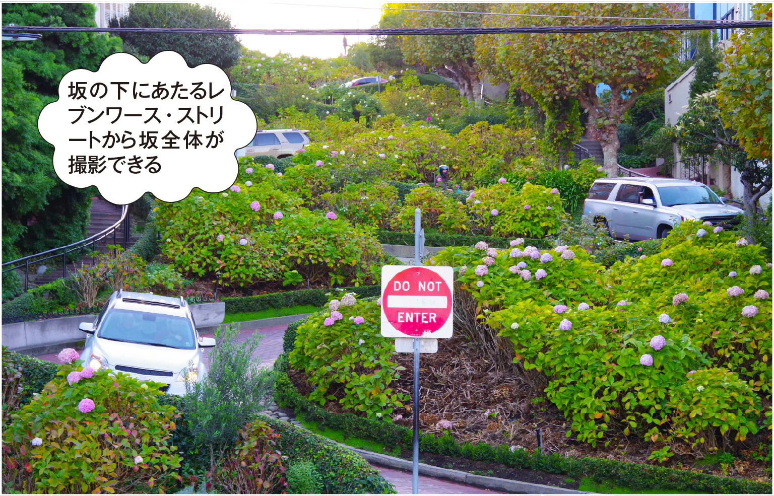 坂の下にあたるレブンワース・ストリートから坂全体が撮影できる