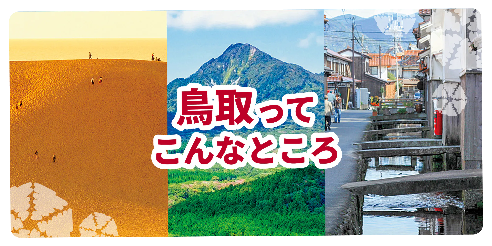 鳥取ってこんなところ