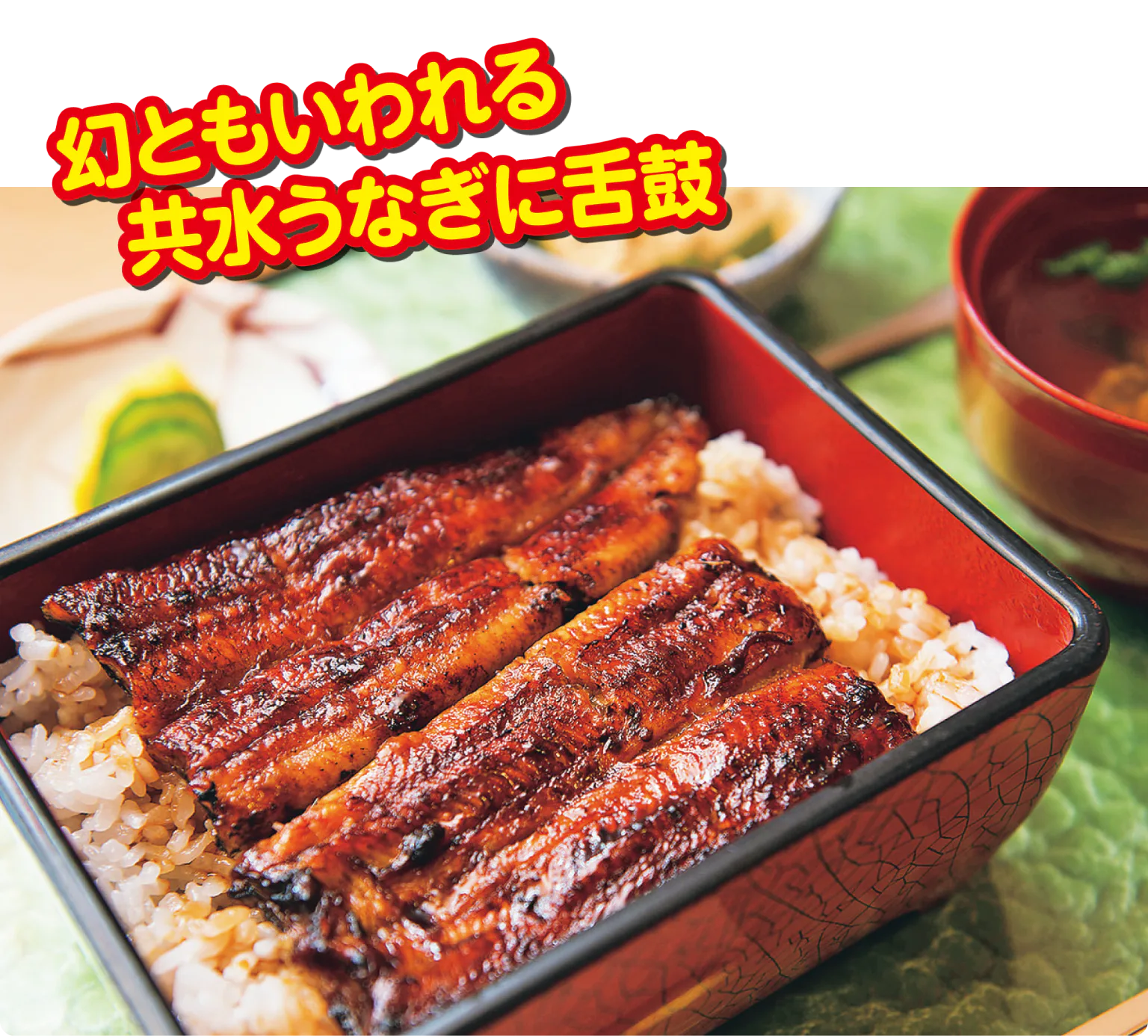 うなぎ大嶋うな重(上)の画像