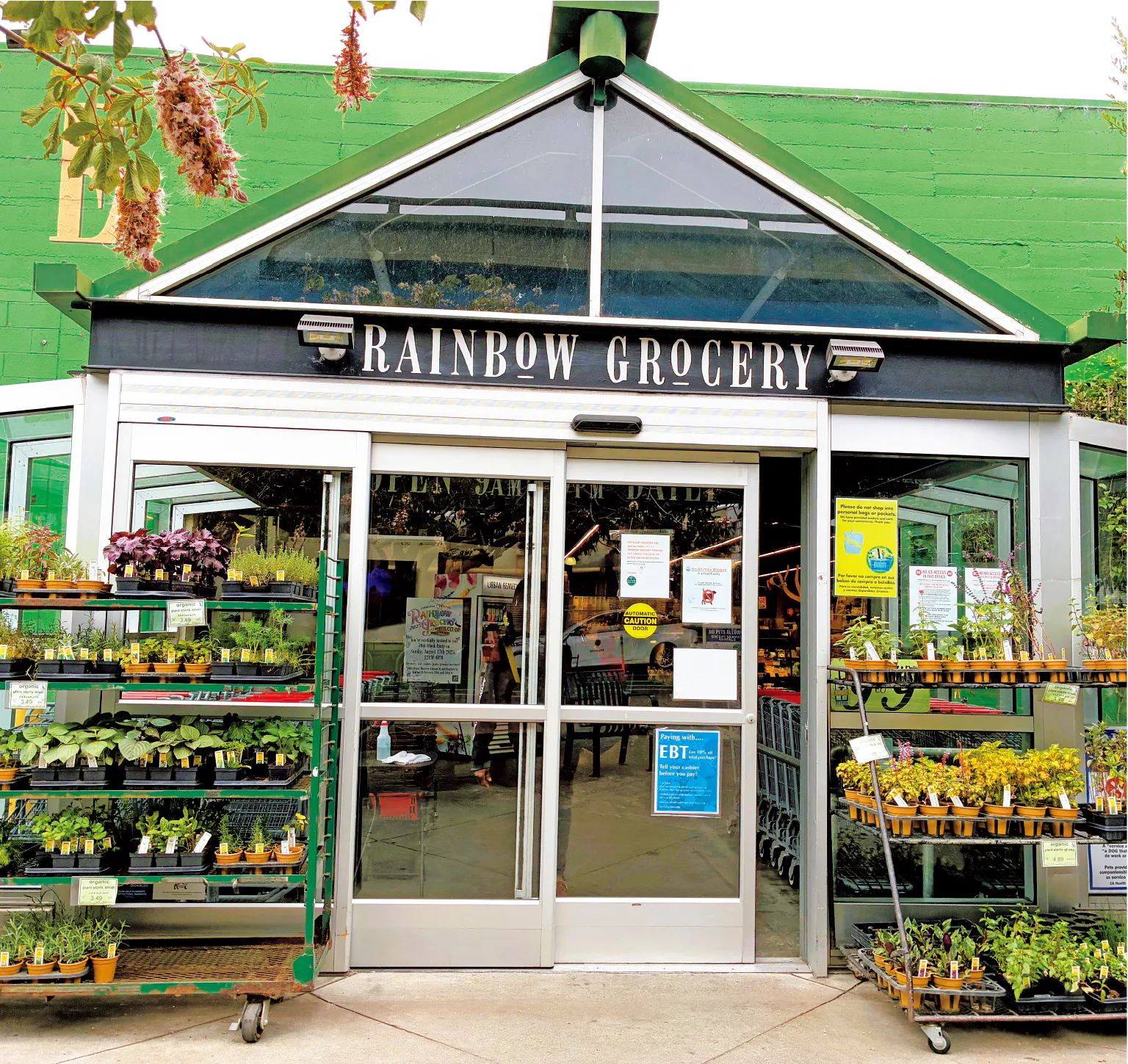 レインボー・グローセリーの画像