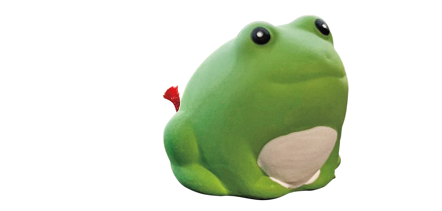 勝林寺のかえるみくじの画像